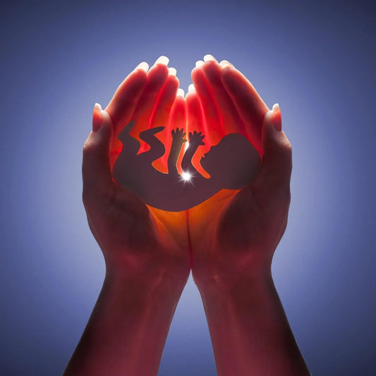 The Fiqh of Contraception and Abortion